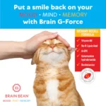 Brain G-Force | for Optimal Brain Function | with Galantamine, R-Lipoic Acid, A-GPC, and Benfotiamine | 45 Servings