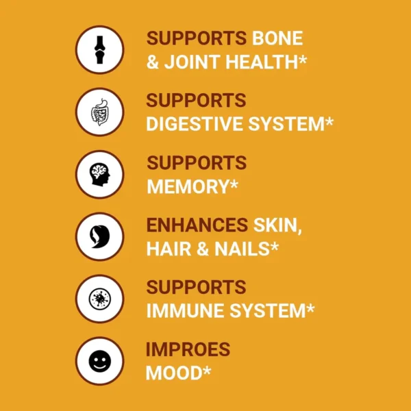 Bone Broth Protein 10.59oz